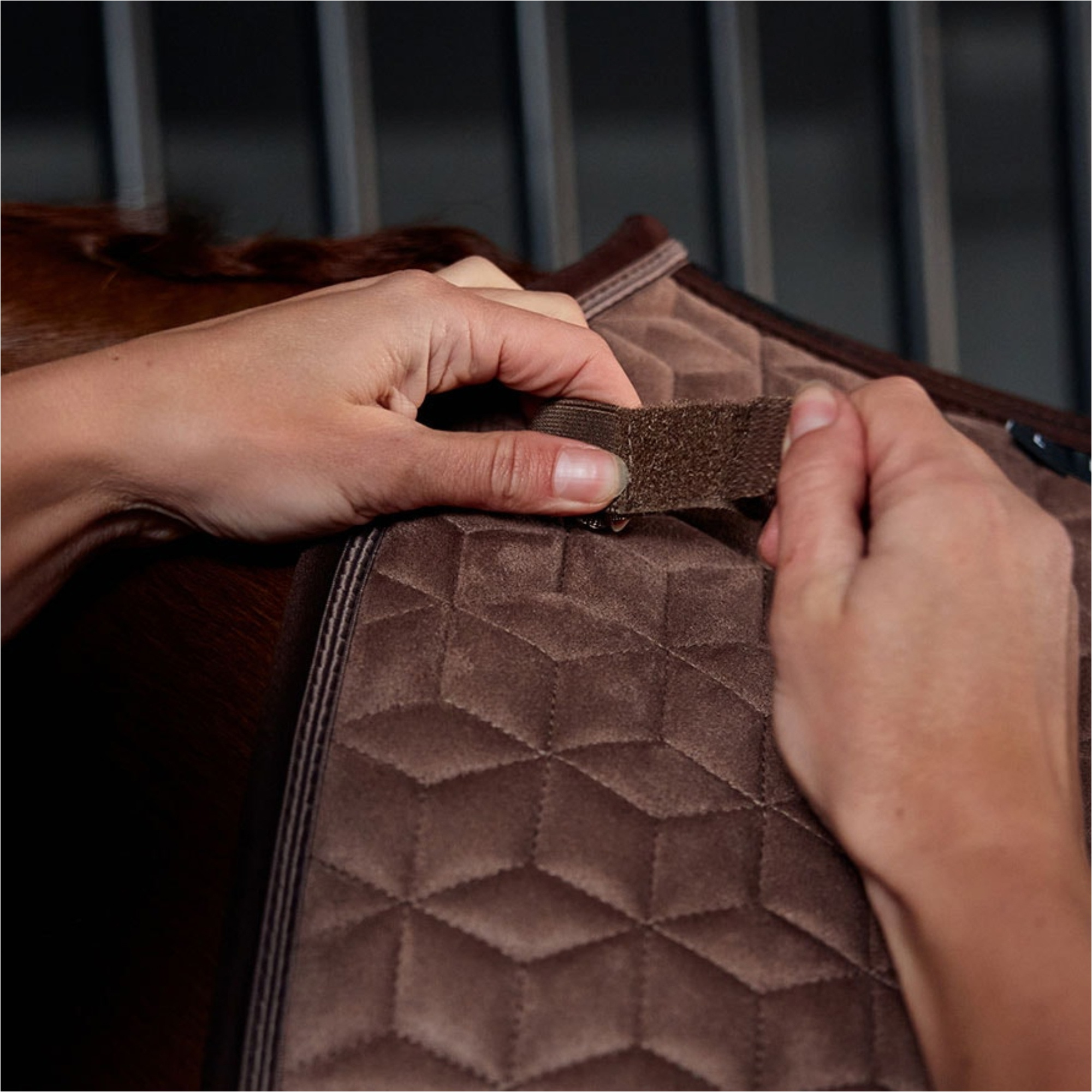 2026 WeatherBeeta Suede Elite Aire-Tec De Doma Sudadero 1030346 - Fawn